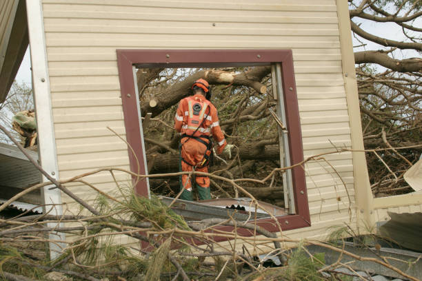 Best Commercial Tree Services  in Kissee Mills, MO